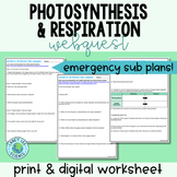 Photosynthesis & Respiration Webquest