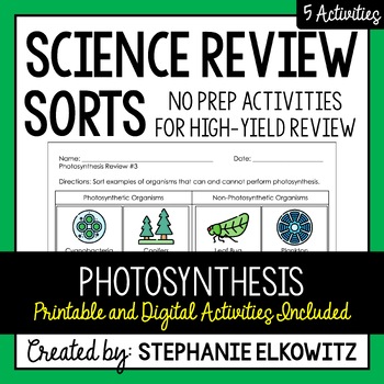 Preview of Photosynthesis Review Sort | Printable, Digital & Easel