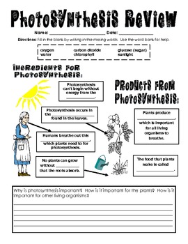 Preview of Photosynthesis Review for Upper Elementary