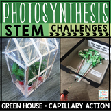 Photosynthesis Activities STEM Craft Challenge Plant Activ