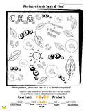 Photosynthesis Seek & Find - Chemical Equation