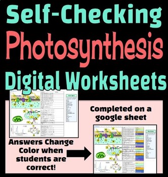 Preview of Photosynthesis Self-Checking Digital Worksheet