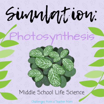 Preview of Photosynthesis Virtual Lab Simulation
