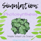 Photosynthesis Virtual Lab Simulation