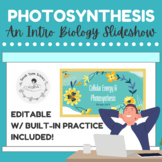 Photosynthesis Slideshow