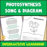 Photosynthesis Diagram and Learning Song ESL ELL Easel Ready