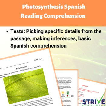 Preview of Photosynthesis Spanish Reading Comprehension Worksheet