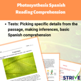 Photosynthesis Spanish Reading Comprehension Worksheet