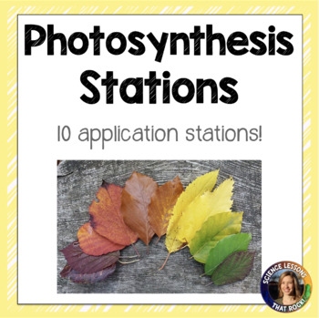 Preview of Photosynthesis Station Activity