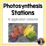 Photosynthesis Station Activity