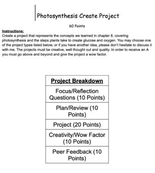 Preview of Photosynthesis Student Choice Project