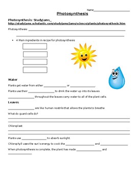 Preview of Photosynthesis Study Jams