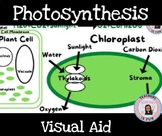 Photosynthesis Summary Poster Visual Aid