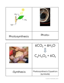 Preview of Photosynthesis Terms Cards