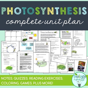 Preview of Photosynthesis Unit Bundle