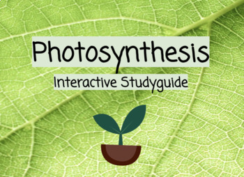 Preview of Photosynthesis Virtual Interactive Study Guide