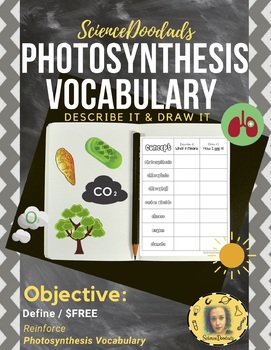 Preview of Photosynthesis - Vocabulary