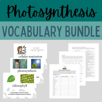 Preview of Photosynthesis Vocabulary Activity and Word Wall Bundle NGSS Ecosystems