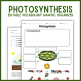 Photosynthesis Vocabulary Graphic Organizer | Biology Genetics