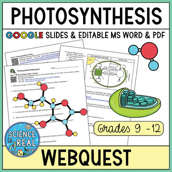 Preview of Photosynthesis Webquest