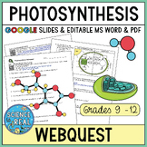 Photosynthesis Webquest
