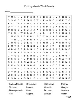 Preview of Photosynthesis Word Search!