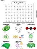 Photosynthesis Activity: Word Search Worksheet