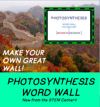 Preview of Photosynthesis Word Wall