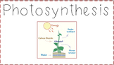 Photosynthesis Word Wall, Flash Cards and Activity (Englis
