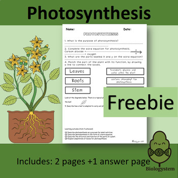 ap biology photosynthesis worksheet