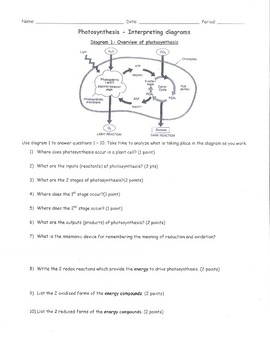 general biology photosynthesis worksheet south sevier high school