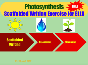 Preview of Living Environment Science - Photosynthesis - Writing Exercise - ELLs - ICT