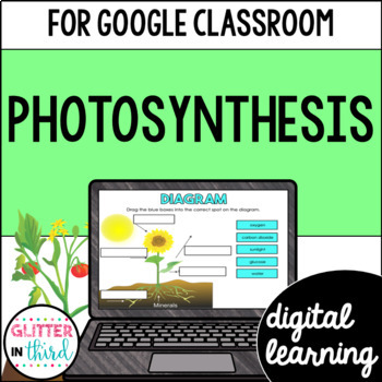 Preview of Photosynthesis activities for Google Classroom