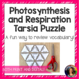 Photosynthesis and Cellular Repiration Tarsia Puzzle