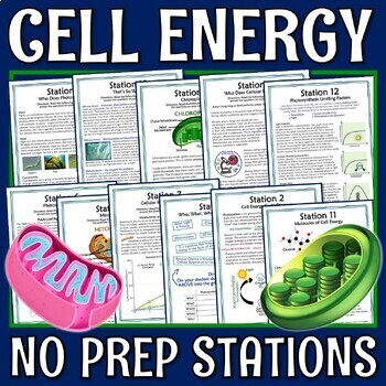 Preview of Photosynthesis and Cellular Respiration Activity Cell Energy Stations Centers