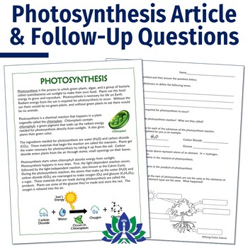 photosynthesis and cellular respiration essay questions