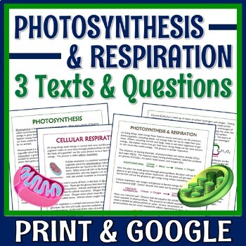 Preview of Photosynthesis and Cellular Respiration Article Worksheet Set PRINT and GOOGLE
