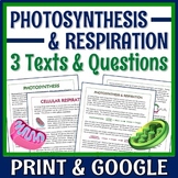 Photosynthesis and Cellular Respiration Article Worksheet 