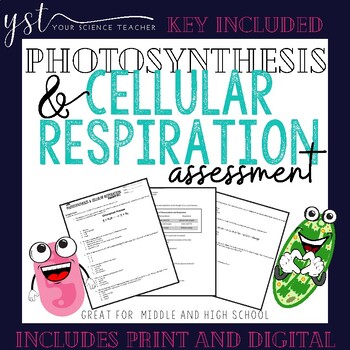 Preview of Photosynthesis and Cellular Respiration Assessment - Print and Digital