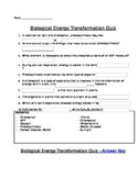 Photosynthesis and Cellular Respiration Assessment (Quiz)