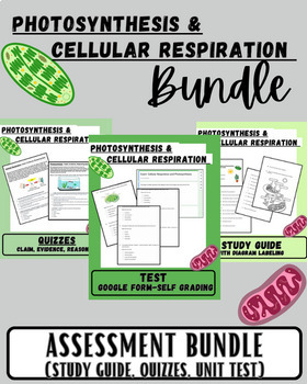Preview of Photosynthesis and Cellular Respiration Assessment/Study Guide/Quiz/Test Bundle