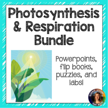 Preview of Photosynthesis and Cellular Respiration Bundle