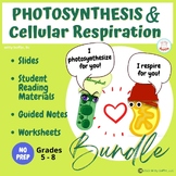 Photosynthesis and Cellular Respiration Bundle