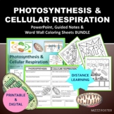 Photosynthesis & Cellular Respiration Bundle: PPT, Notes, 