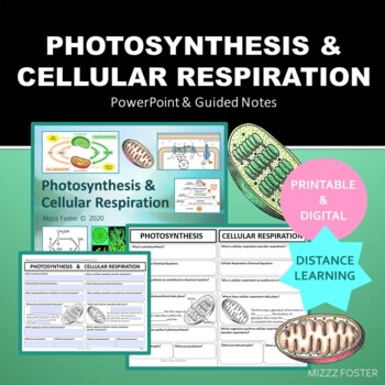 Preview of Photosynthesis Cellular Respiration Presentation, Guided Notes (Digital & Print)
