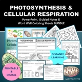 Photosynthesis and Cellular Respiration Bundle with Worksh