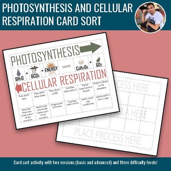 Preview of Photosynthesis and Cellular Respiration Card Sort