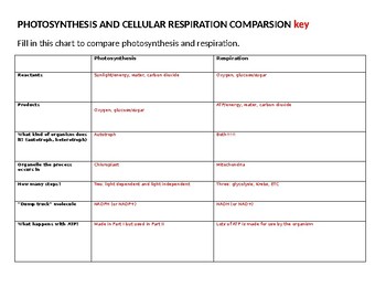 Photosynthesis And Cellular Respiration Comparison Chart Answers