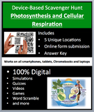 Photosynthesis and Cellular Respiration – Device-Based Sca