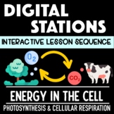 Photosynthesis and Cellular Respiration Digital Stations